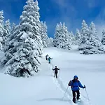 Au Coin Du Mont Blanc Chamonix Mont Blanc