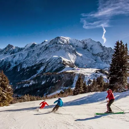 Διαμέρισμα Au Coin Du Mont Blanc