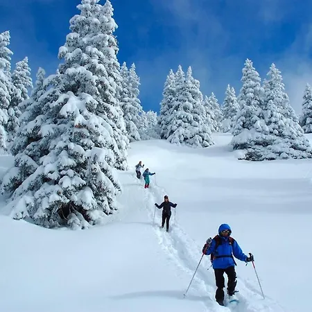 Au Coin Du Mont Blanc Chamonix